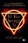 le-feu-secret-tome-1-651658-250-400